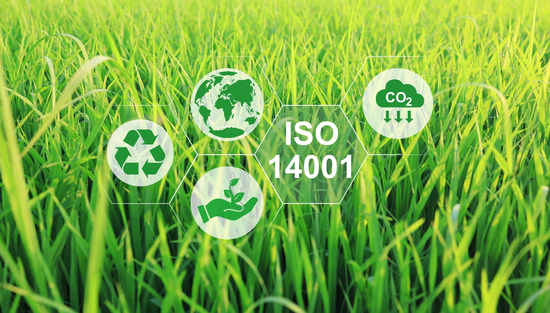 Pictogrammes environnementaux et mention ISO 14001 superposés à un champ d'herbe verte